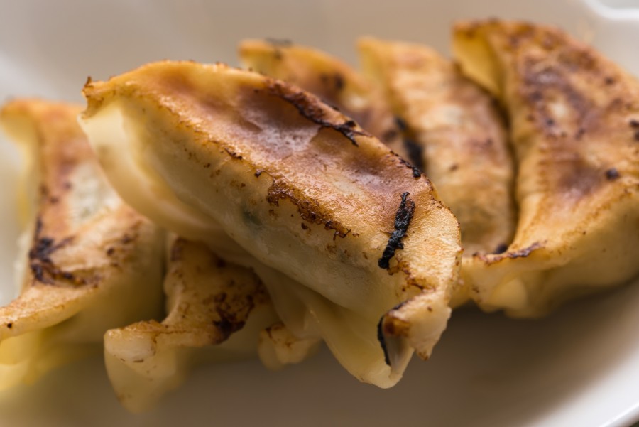 Japanese Gyoza Recipe