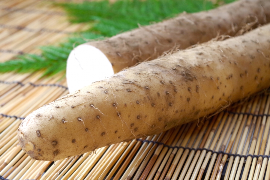 Image result for 9. Naga-imo: Japanese Mountain Yam